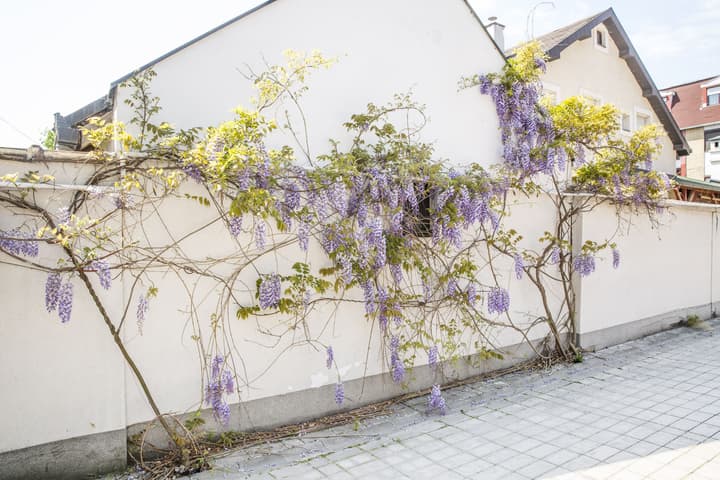 Boutique Hotel Arta