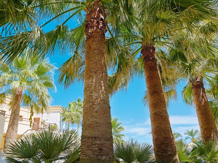 Grecotel Marine Palace & Aqua Park