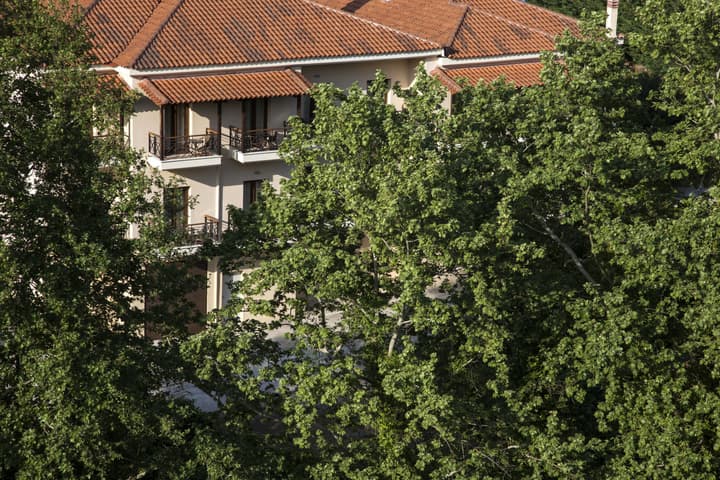 Meteoritis Hotel