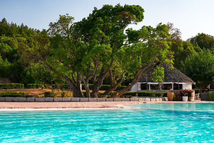 Eco Hotel Orlando