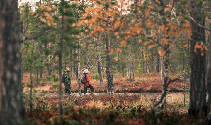 Lapland Hotels Ounasvaara Chalets