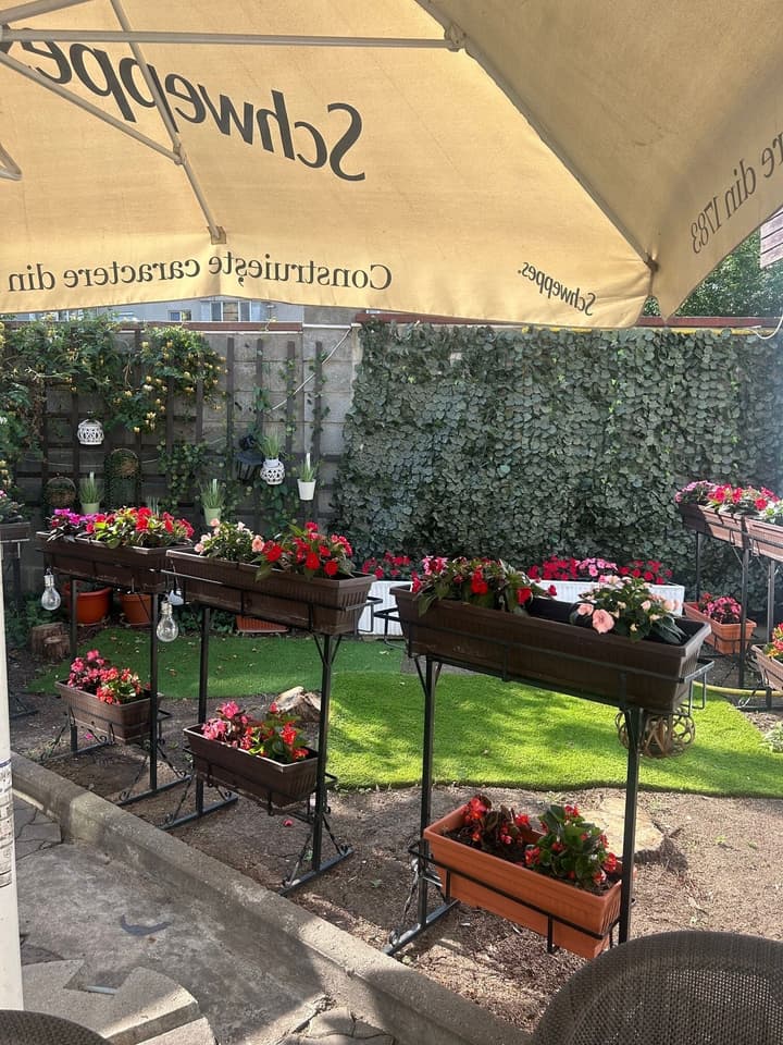 Hotel Pacific Timisoara