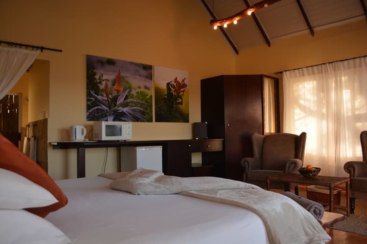 Addo Dung Beetle Guest Farm