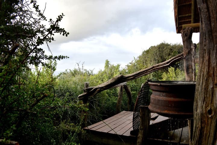 Addo Dung Beetle Guest Farm