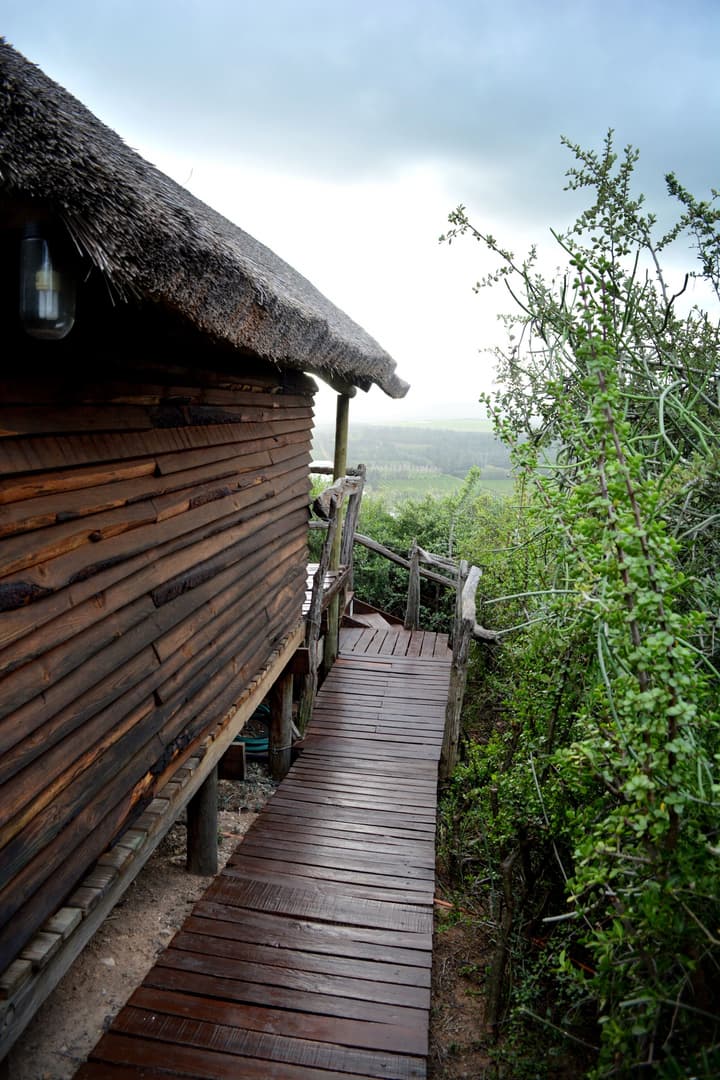 Addo Dung Beetle Guest Farm
