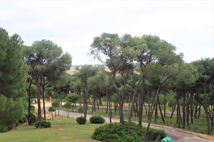 Hotel Oromana