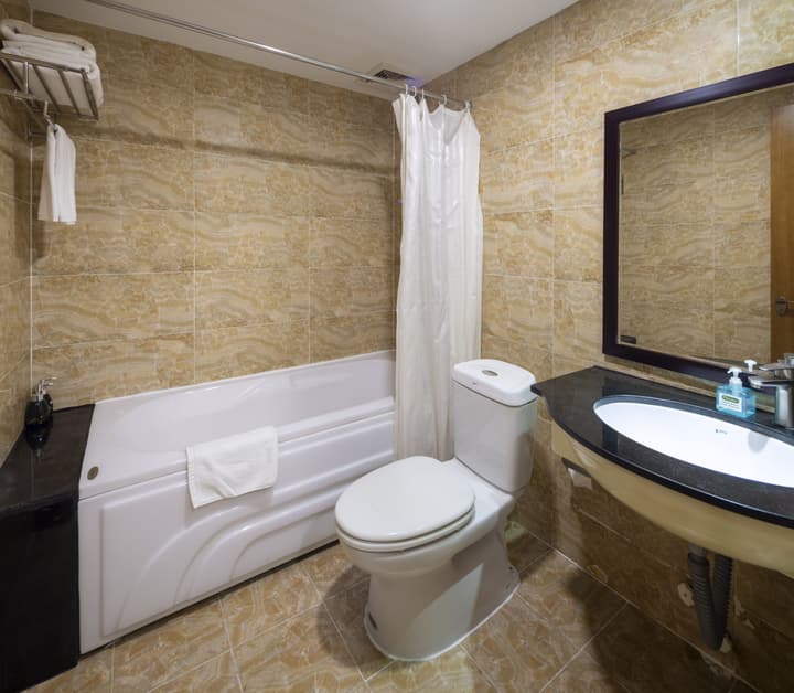 Viet Lotus Saigon Hotel