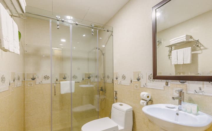 Viet Lotus Saigon Hotel