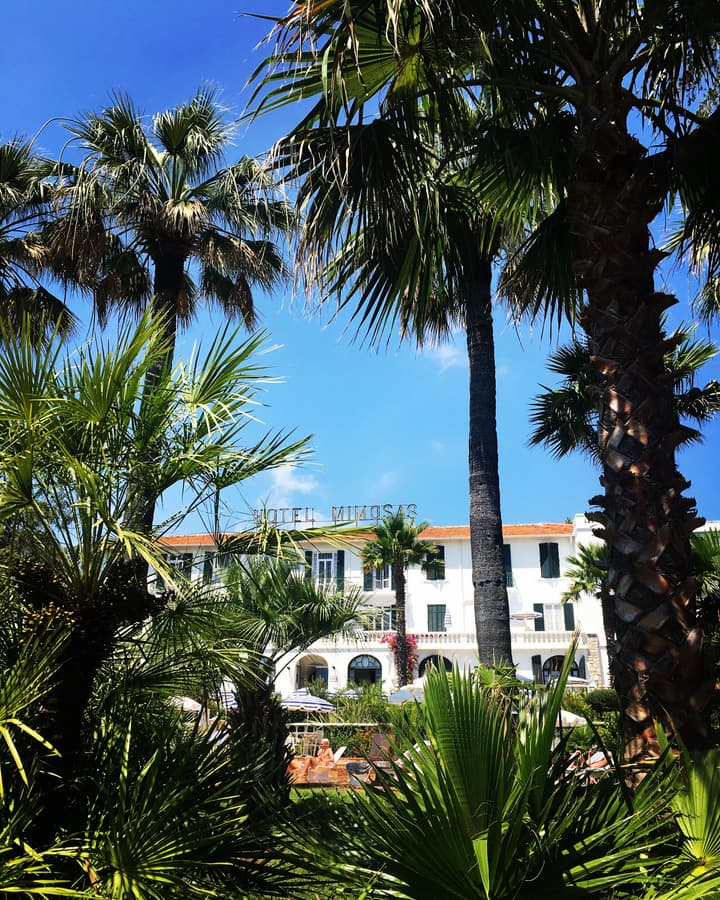 Hôtel des Mimosas