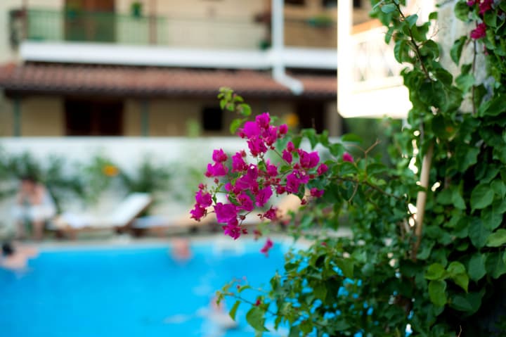 Neda Hotel
