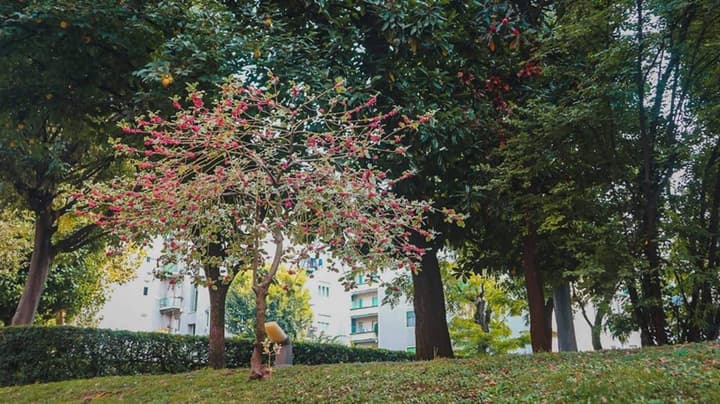 IH Hotels Milano ApartHotel Argonne Park