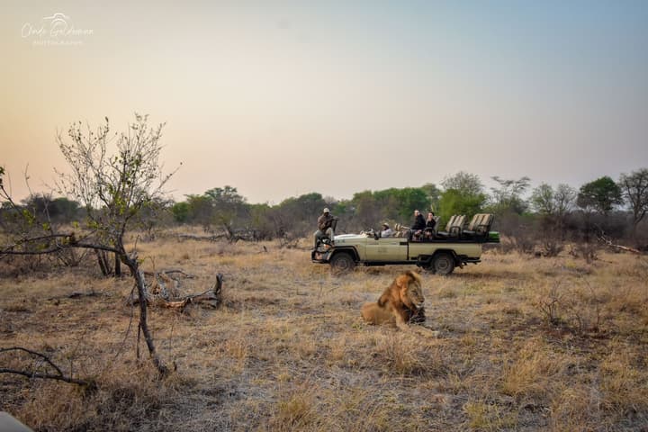 Mohlabetsi Safari Lodge