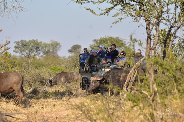 Mohlabetsi Safari Lodge