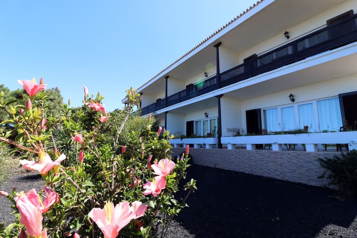 Apartamentos Miranda