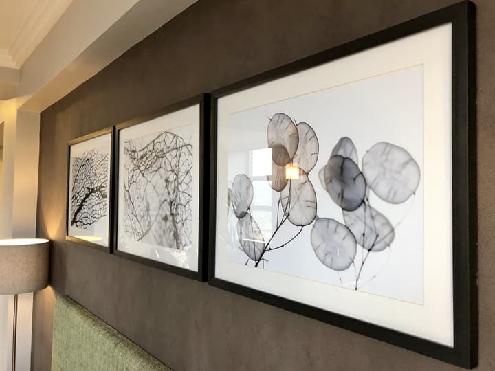 Belaire Suites