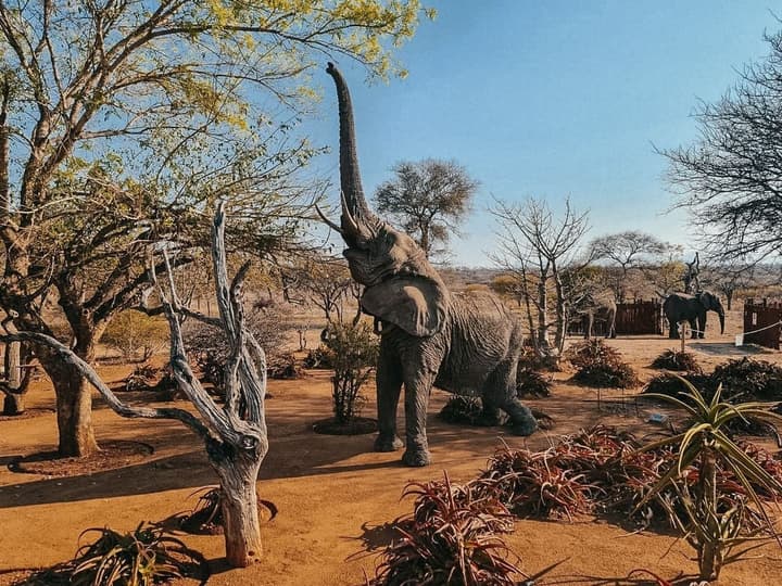 Tshukudu Game Lodge