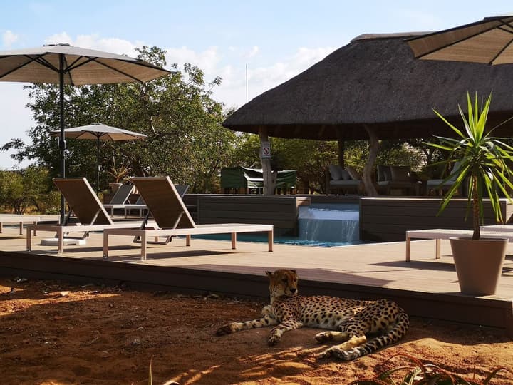 Tshukudu Game Lodge