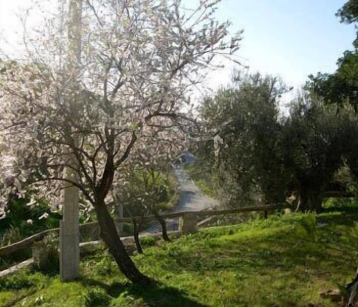 That's Amore Cilento Country House