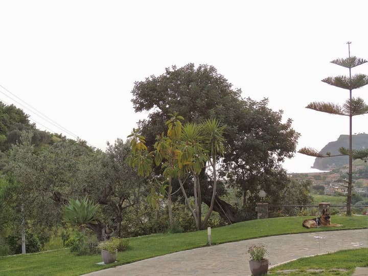 That's Amore Cilento Country House