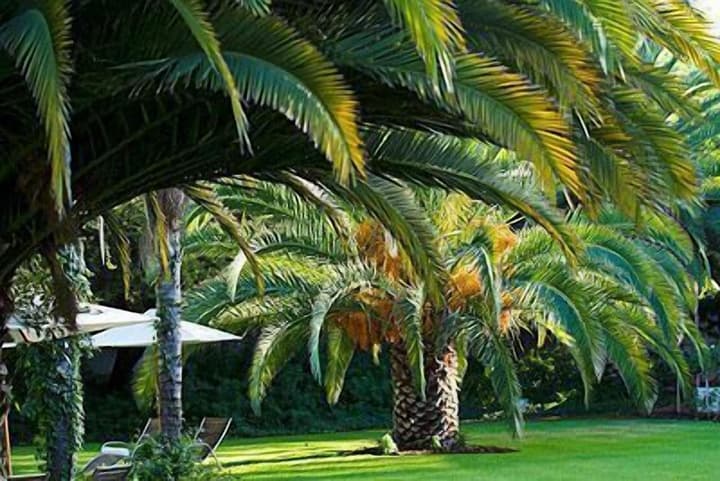 Hlangana Lodge