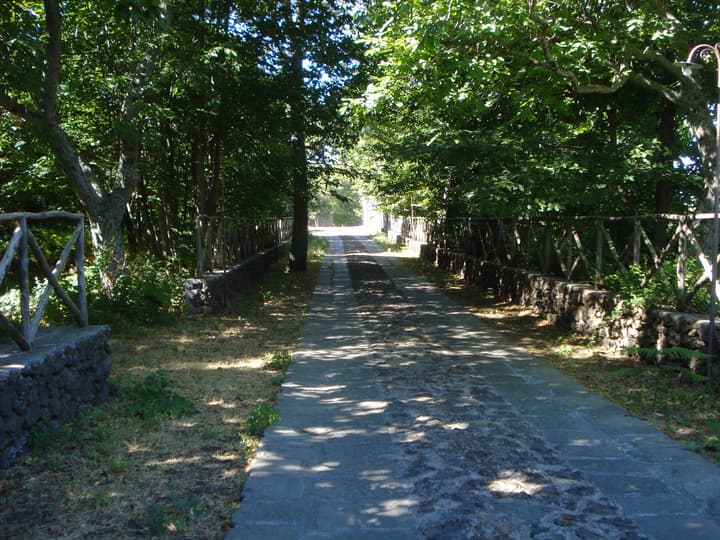 Bosco Ciancio