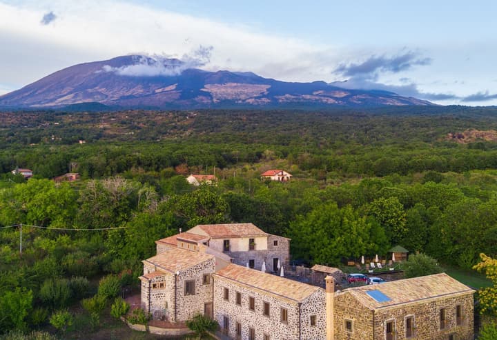 Bosco Ciancio