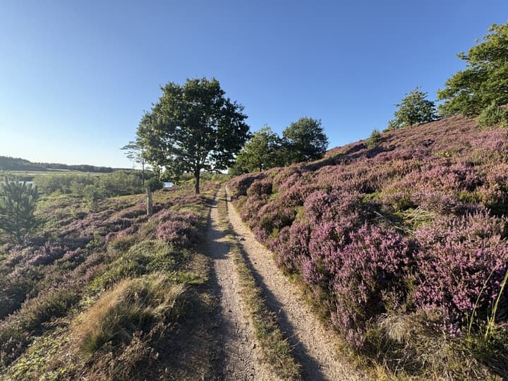 Tollundgaard Golf Park