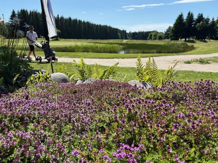 Tollundgaard Golf Park