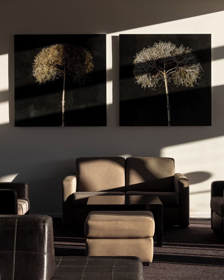Hotel Flôr de Sal by The Editory