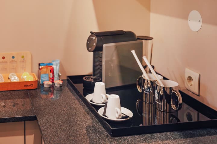 Melia Braga Hotel & Spa