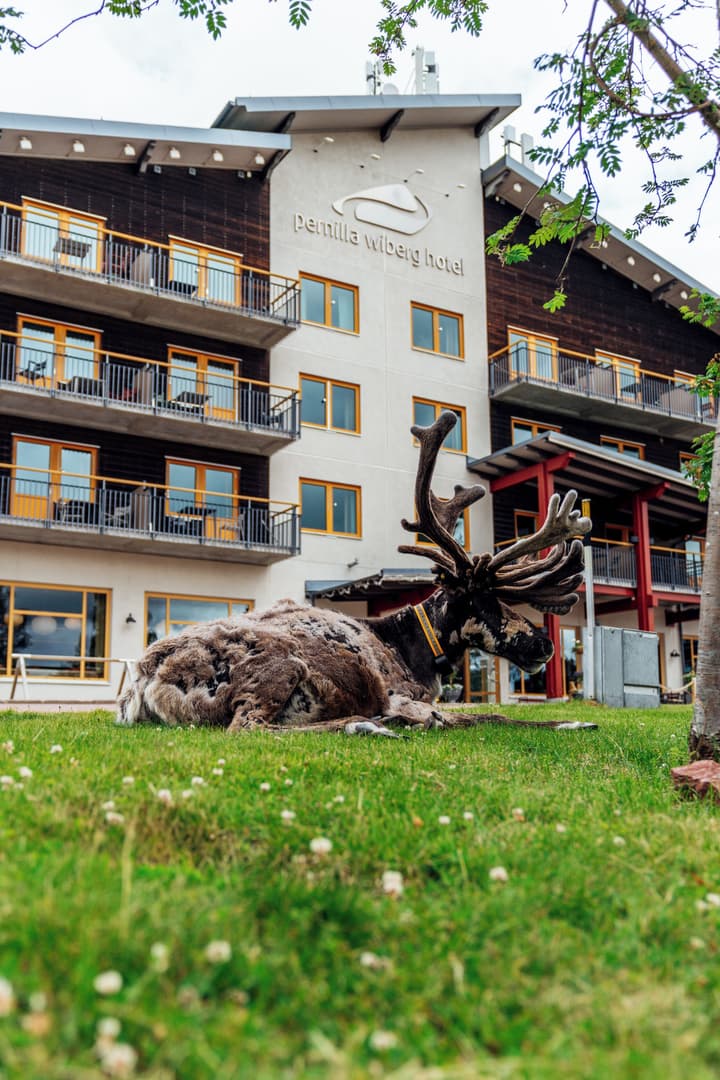 Pernilla Wiberg Hotel