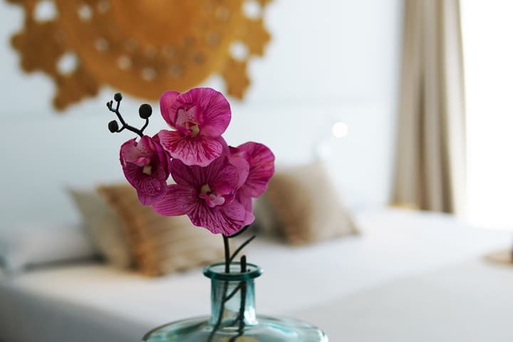 Marina Playa Hotel Apartments by Typic Hotels – Adults Only