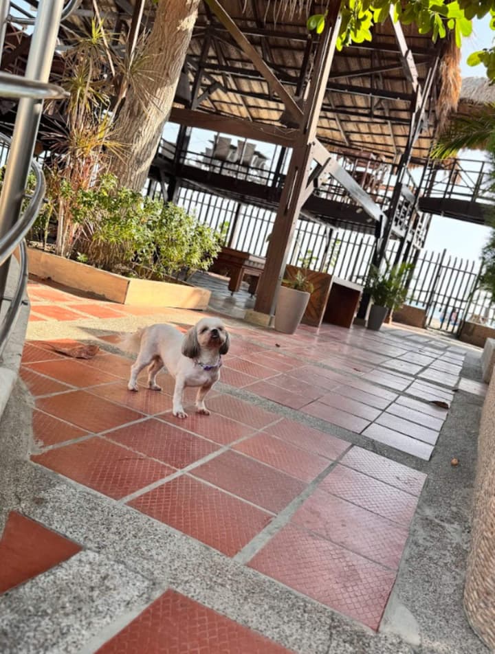 TAMA Hotel Santa Marta