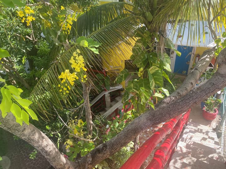 Maison Tulum