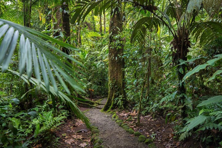 Hideaway Rio Celeste