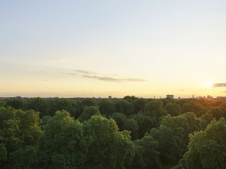 45 Park Lane - Dorchester Collection