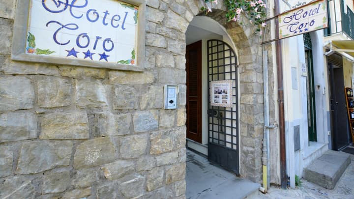 Hotel Toro