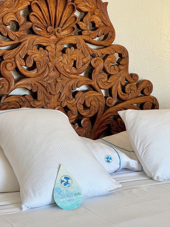Pelicano Inn Playa del Carmen - Beachfront Hotel