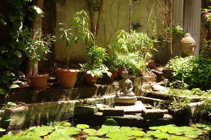 Hotel Zen