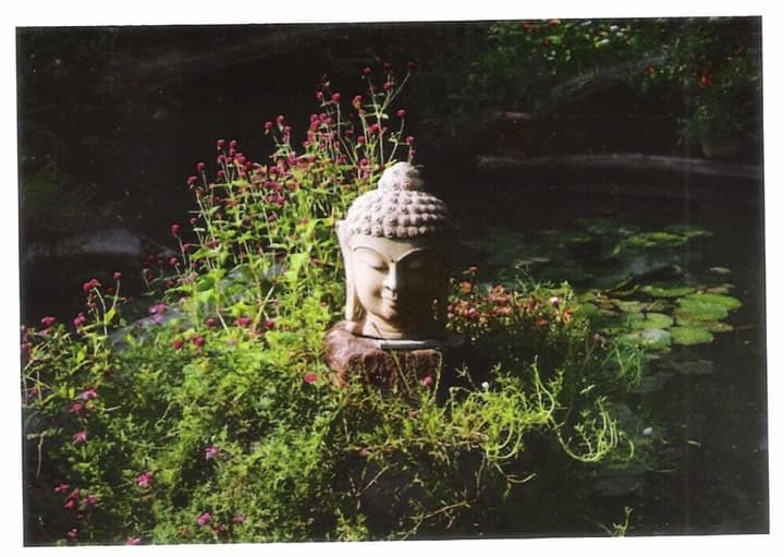 Hotel Zen