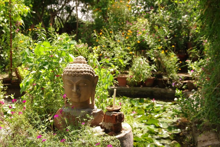 Hotel Zen