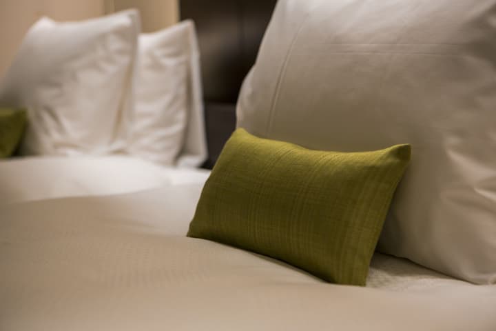 Hotel Ryumeikan Ochanomizu Honten