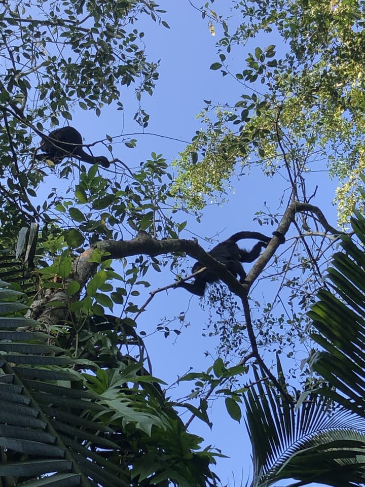 Hotel Villa Maya