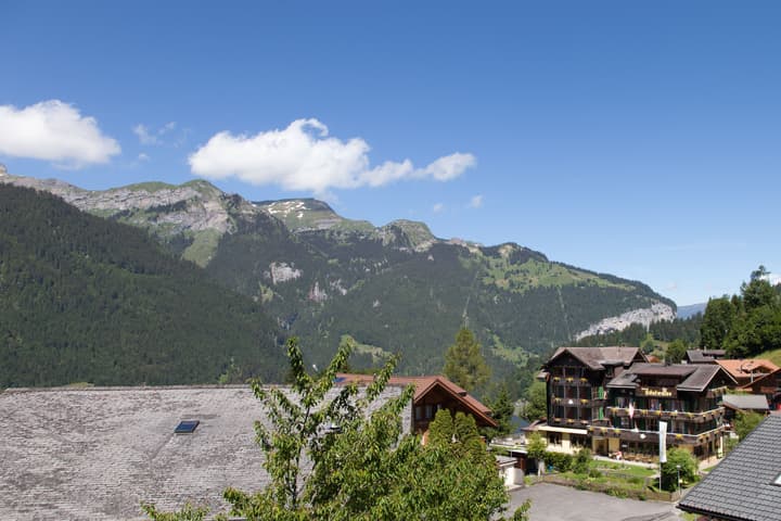 Hotel Edelweiss Wengen