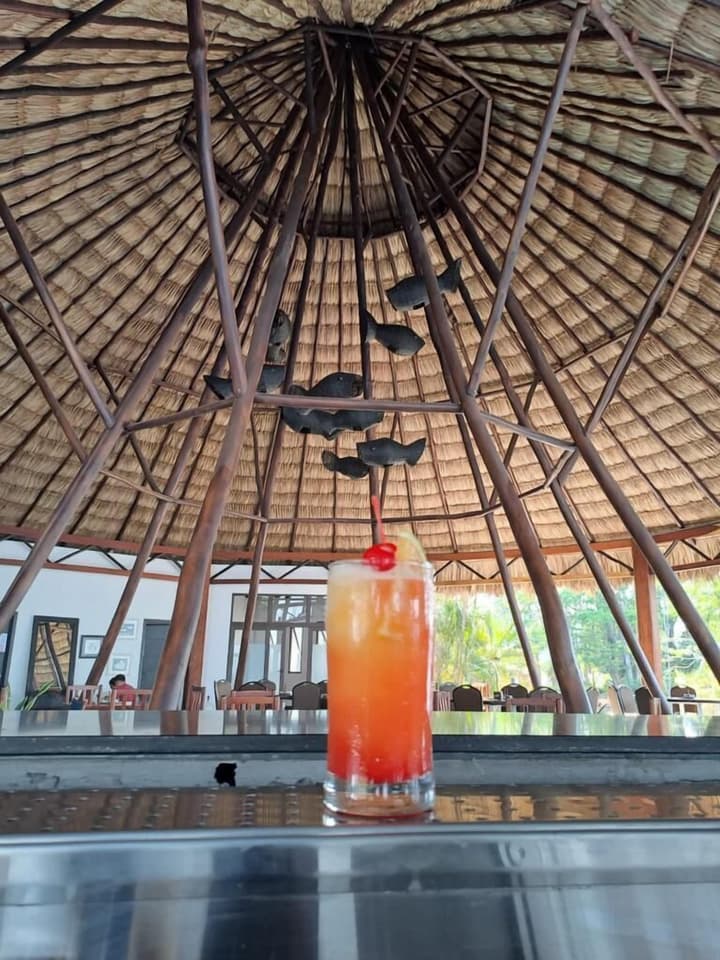Hotel Maya Internacional