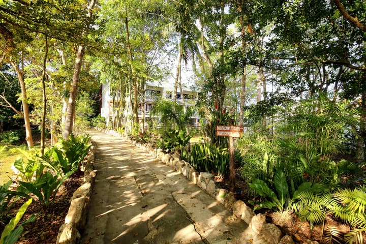 Hotel Maya Internacional