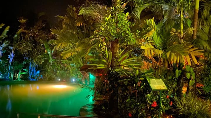 Blue River Resort & Hot Springs