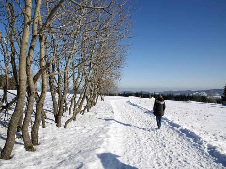 AVITAL Resort Winterberg