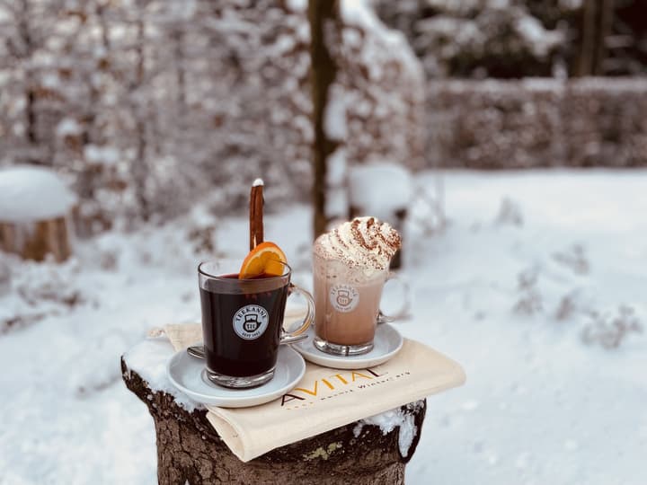 AVITAL Resort Winterberg