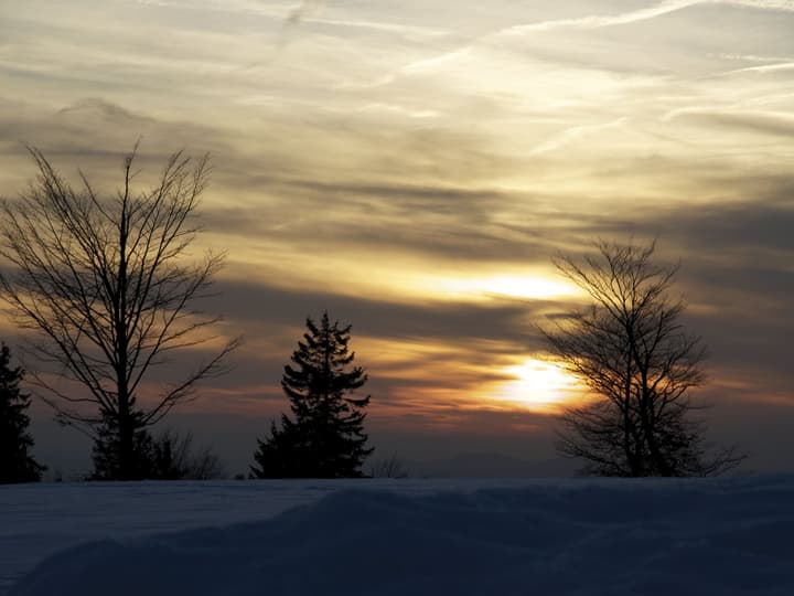 AVITAL Resort Winterberg